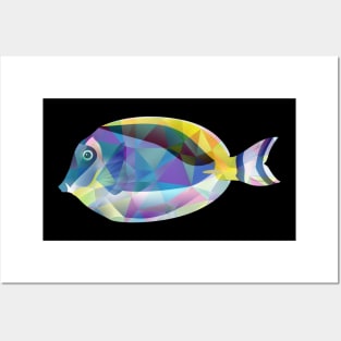 Beautiful and Pretty Colorful Crystal Fish Posters and Art